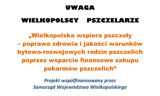Zdjęcie do Wielkopolska wspiera pszczoły &ndash; poprawa zdrowia i jakości warunk&oacute;w bytowo-rozwojowych rodzin pszczelich