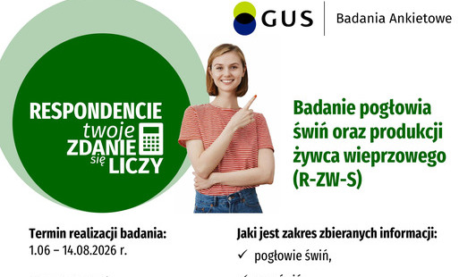 Zdjęcie do Badanie pogłowia świń oraz produkcji żywca wieprzowego